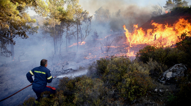 A görök tűzoltók napok óta ádáz harcot folytatnak az amúgy is fokoli hőségben az erdőtűzzel / Fotó: Profimedia