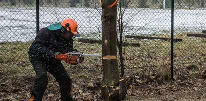 Miasto porządkuje teren pod Park Rataje