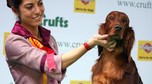 CRUFTS zwycięzcy