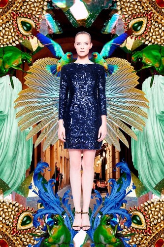 Dragon Fly - kolekcja Bartka Janusza na sylwestra i karnawał 2014