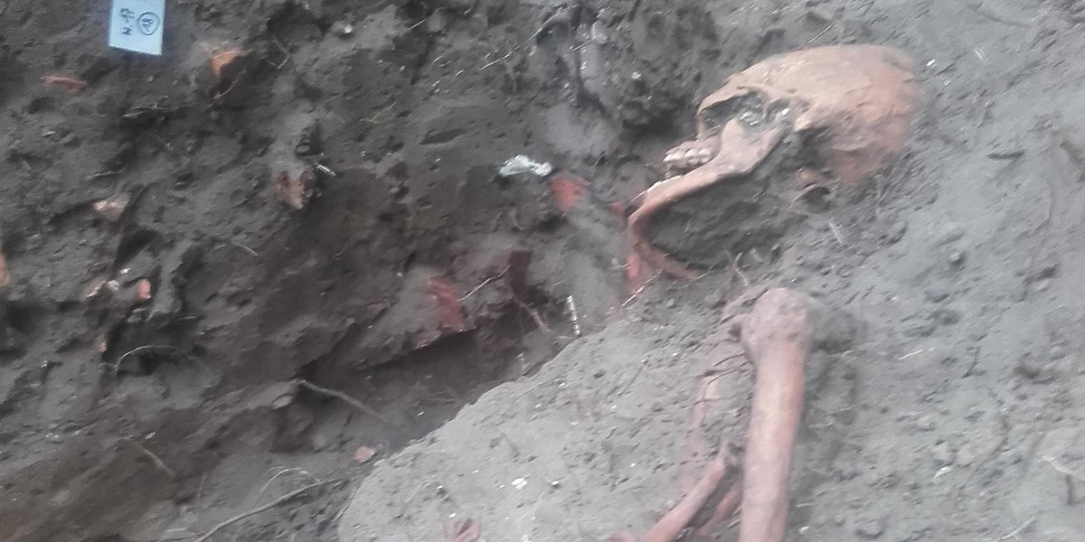 Kolejny szkielet odnaleziony na Westerplatte 