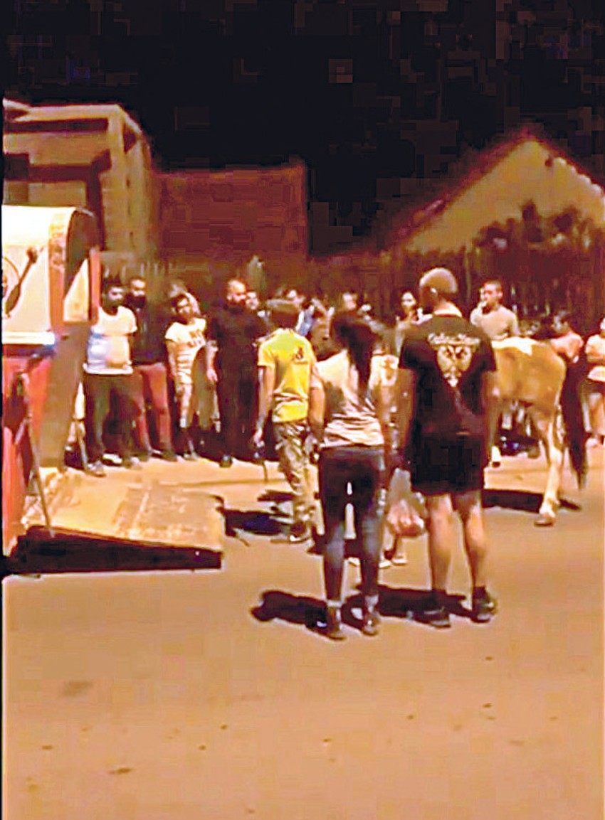 To što neko bije životinje je zakonom zabranjeno, ali je nedopustivo da bilo ko sem države uzima pravdu u svoje ruke 