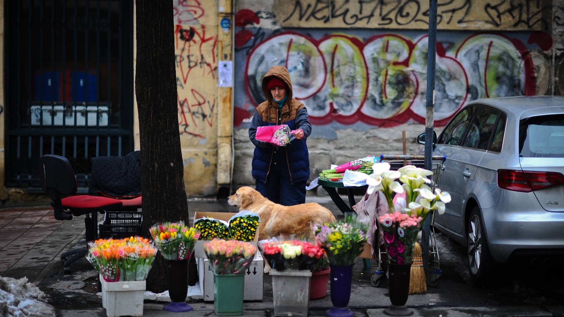 Beogradska priča o momku i baki s ružama zbog koje verujemo da nije sve izgubljeno