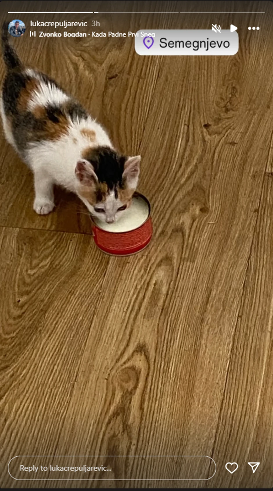 Luka Crepuljarević pokazao imanje pod snegom