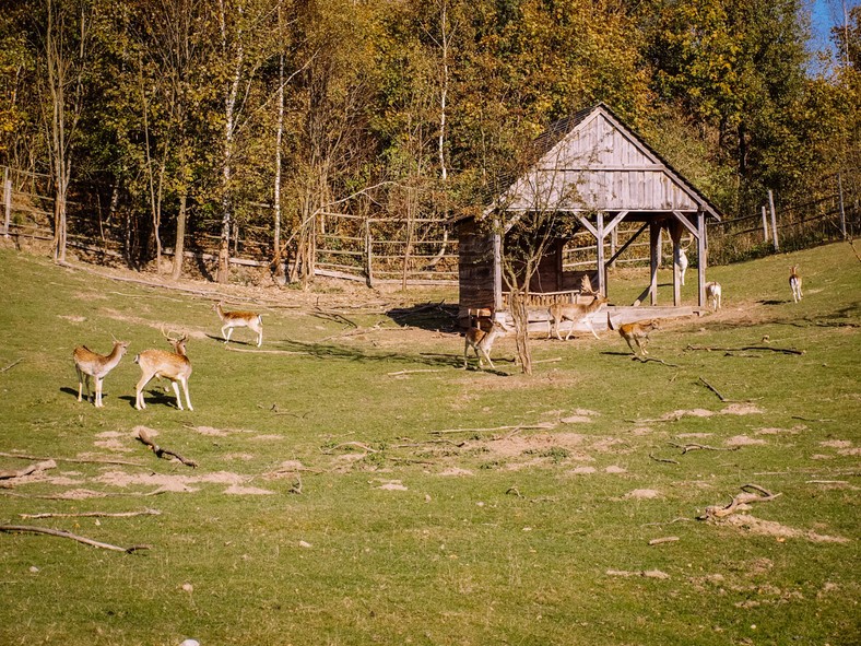 Park Krajobrazowy Wzgórz Dylewskich