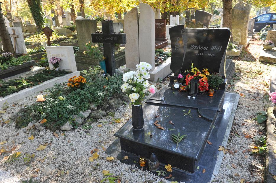 Szécsi Pál sírja a Farkasréti temetőben /Fotó: RAS Archívum