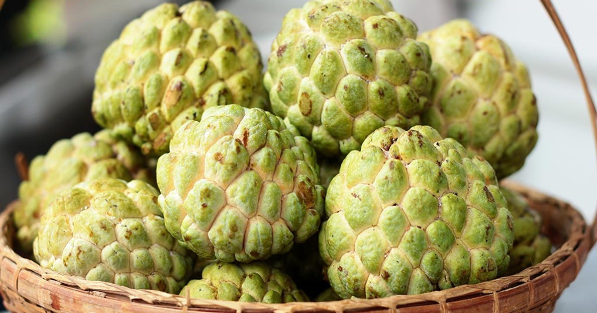 Health benefits of custard apple, graviola, matomoko Pulselive Kenya