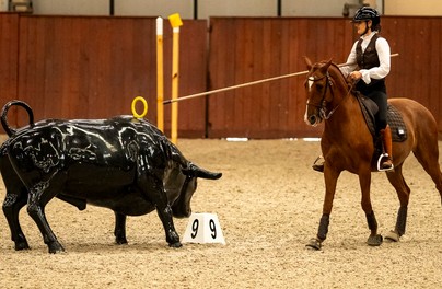 Anna Skrzypek z kwalifikacją na Mistrzostwa Świata Working Equitation!
