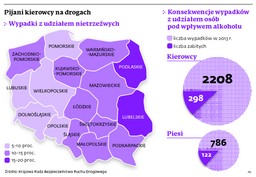 KRS: Zaostrzenie kar dla pijanych kierowców nie poprawi sytuacji
