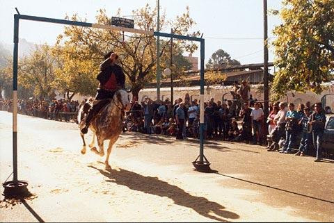 Galeria Argentyna - La Sortija czyli gauchos z wielkiego miasta, obrazek 34