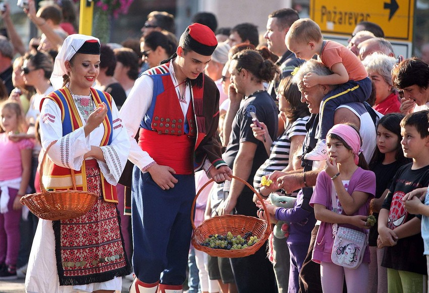 Hiljade građana pile su poslužene grožđem i vinom