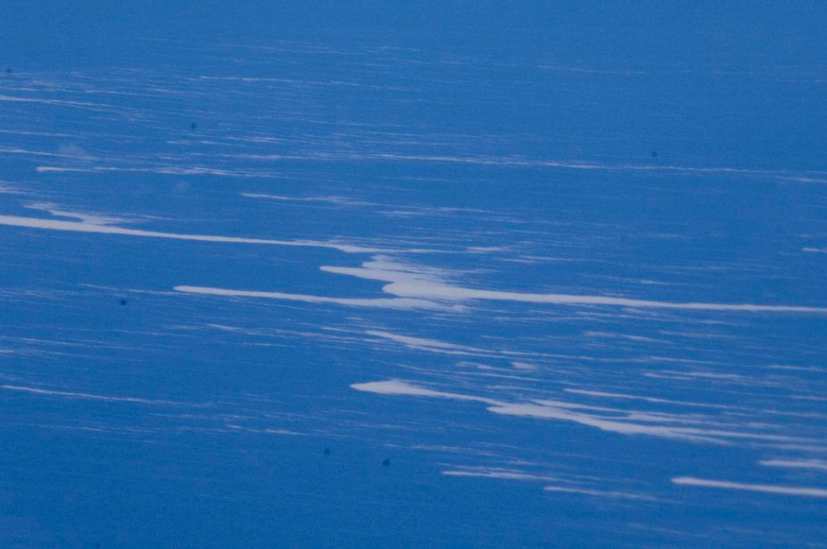 Pływająca wyspa z pumeksu