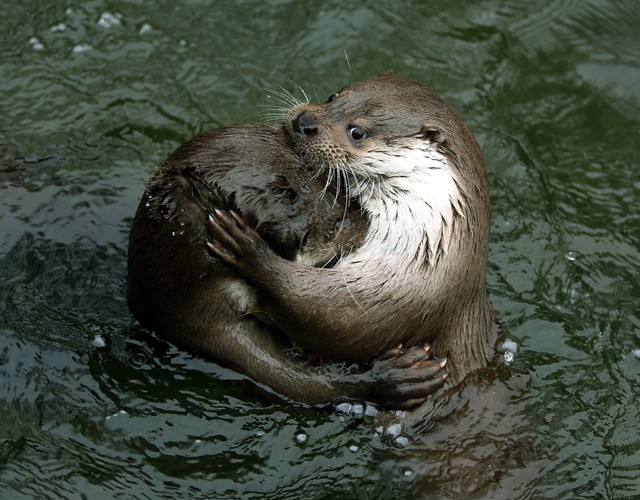 Wiosna w warszawskim ZOO