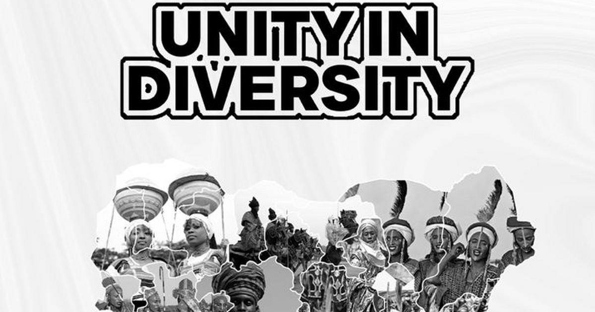 Unity in Diversity: Dr Foladavid launches 'The Unity in Diversity Project' - Vimarsana News