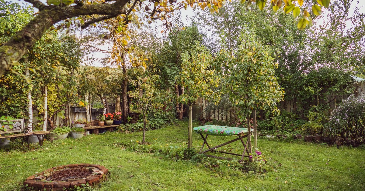 Zbadali warzywa z działek ROD. Eksperci nie mają wątpliwości