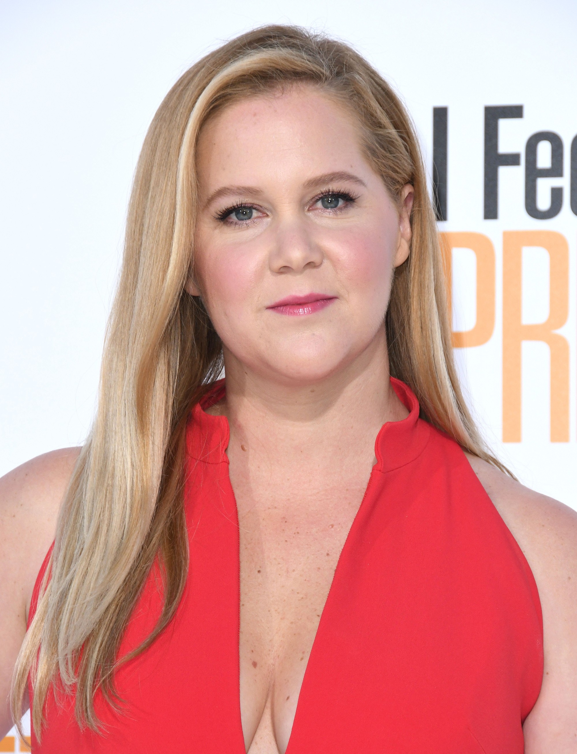 Amy Schumer v minulosti.