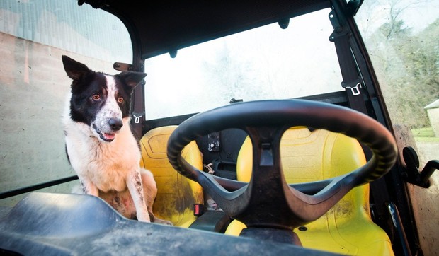 603302_profimedia0239634482