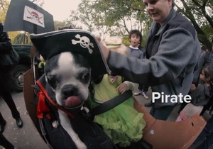 686646_pseca-noc-vestica-foto-youtube-mashable