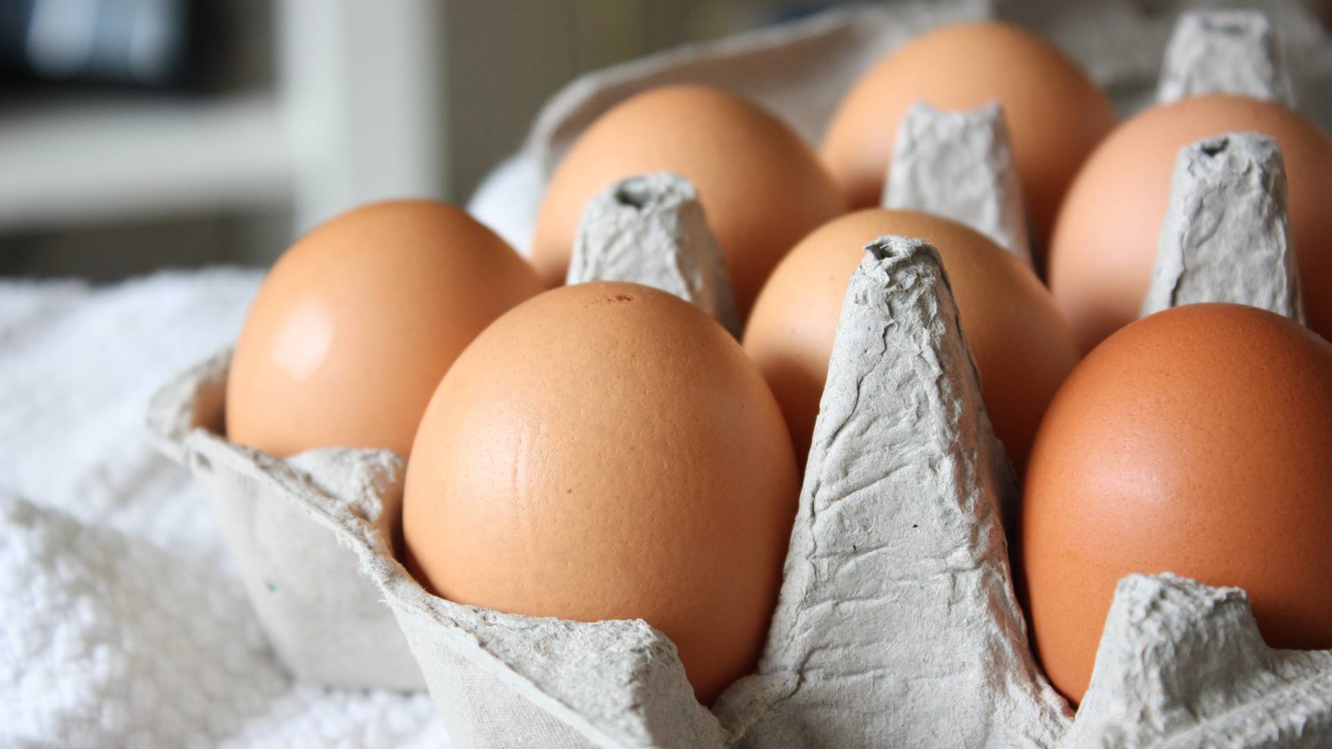 Jak sprawdzić, czy jajko jest świeże? Niezawodny sposób