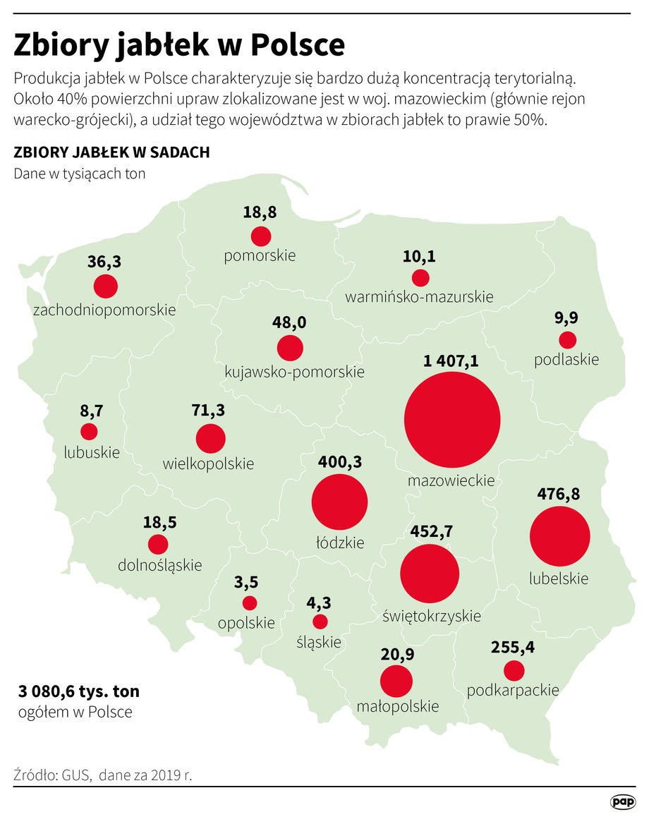 Drzewa owocowe przetrwały zimę w niezłej kondycji.