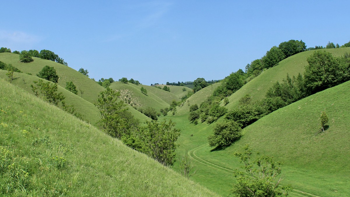 Zagajička brda