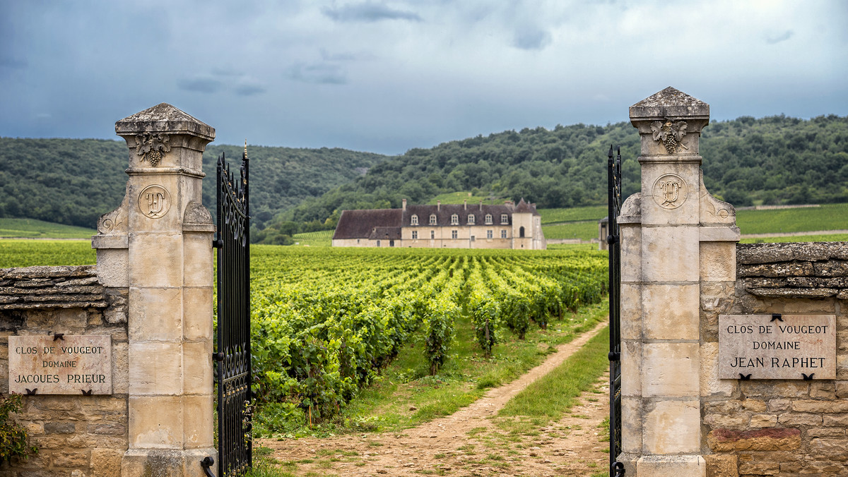 Burgundia: mozaika parceli winiarskich we Francji. Ciekawostki, historia, informacje