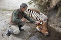 Argentina, SAN MARTIN DE LOS ANDES, prensa