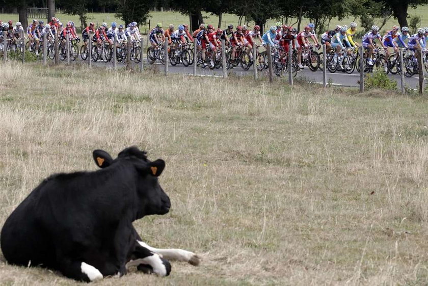 Tour de France może wystartować z Kataru