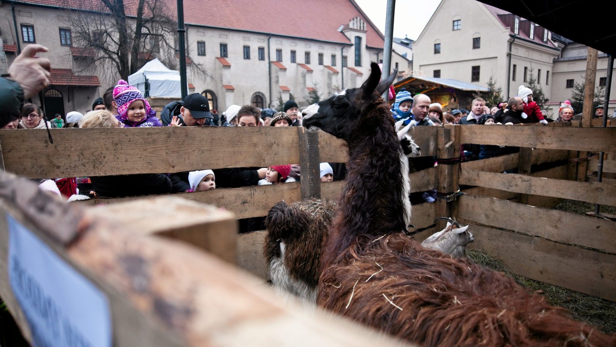 Ikona Narodzenia Pańskiego będzie prezentowana podczas "Żywej Szopki” organizowanej w Krakowie przez oo. franciszkanów. Będzie też można skosztować przetworów i ciasteczek zrobionych przez siostry benedyktynki ze Staniątek i złożyć datki na wsparcie ich opactwa.