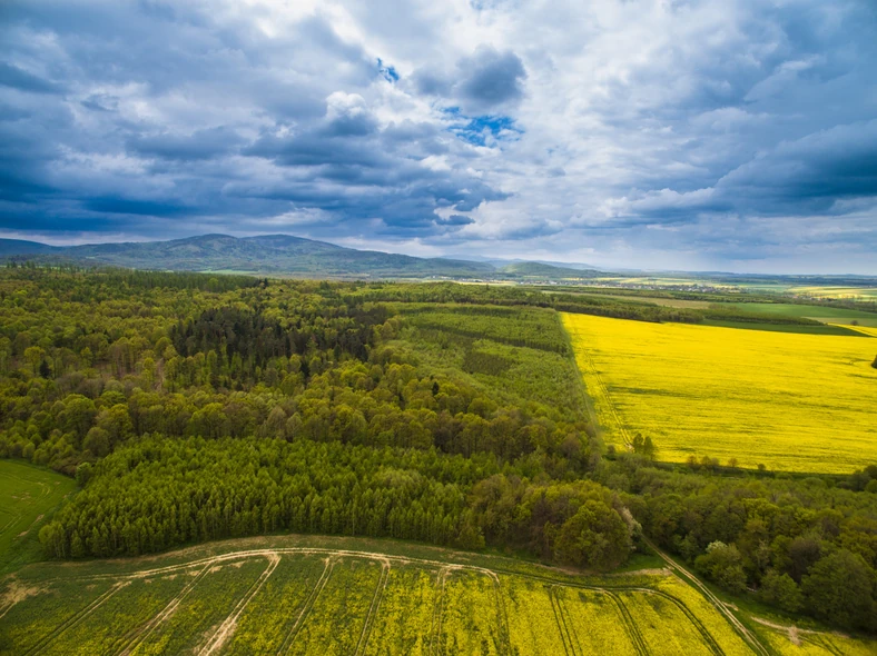 Prudnik Urokliwe Miasto Na Pograniczu Polsko Czeskim Podroze