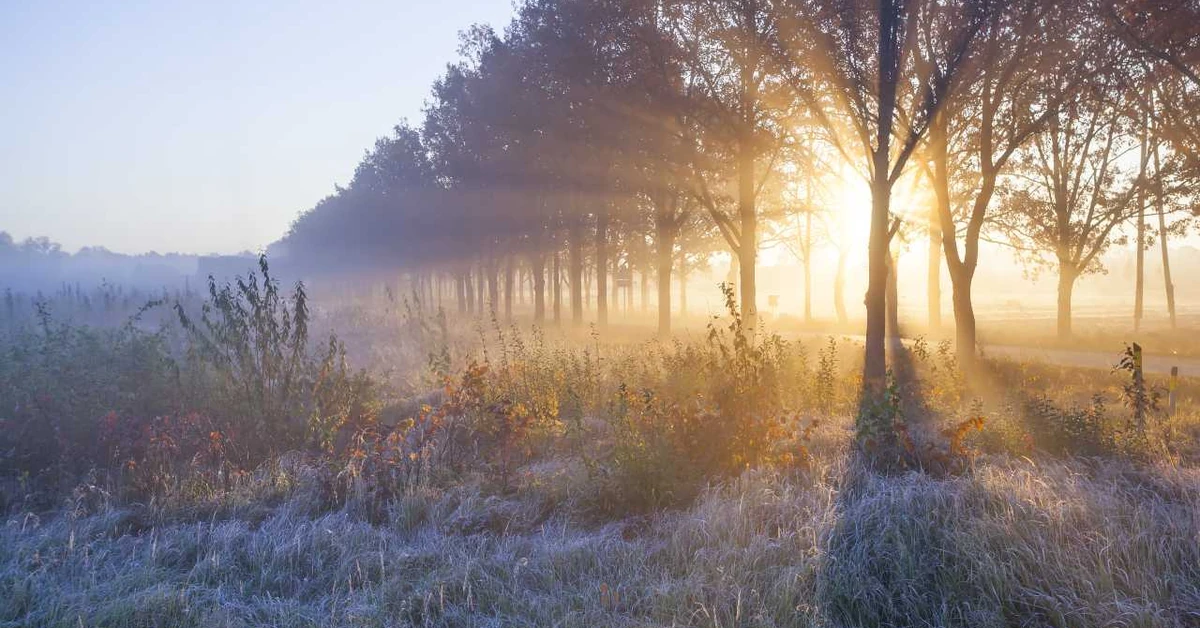 Do Polski wkroczy siarczysty mróz. Nocami choćby minus 20 stopni