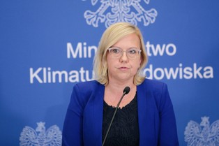 Szefowa MKiŚ: Wspólne zakupy gazu na poziomie UE nie będą obowiązkowe