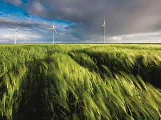 W Polsce znowu dużo inwestuje się w farmy wiatrowe, które według założeń sprzed kilku lat miały zniknąć z naszych krajobrazów