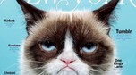 Grumpy Cat, najpopularniejsze zwierzę w Internecie