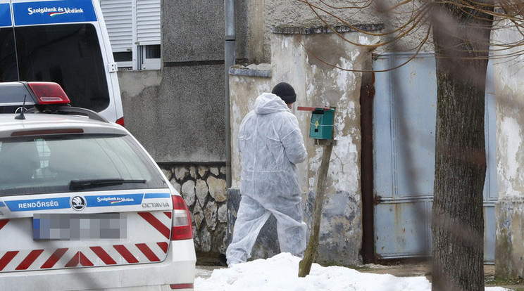 A gyilkos Bécsből a család
káptalanfai házához hajtott, lövöldözni kezdett, majd Molotov-koktéllal
tüzet gyújtott /Fotó: Fuszek Gábor