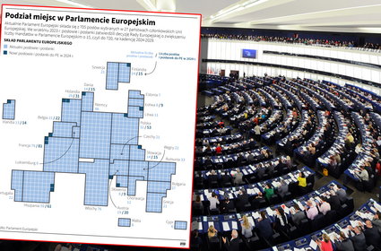 Wybory do Parlamentu Europejskiego. Oto terminy i podział mandatów [INFOGRAFIKI]