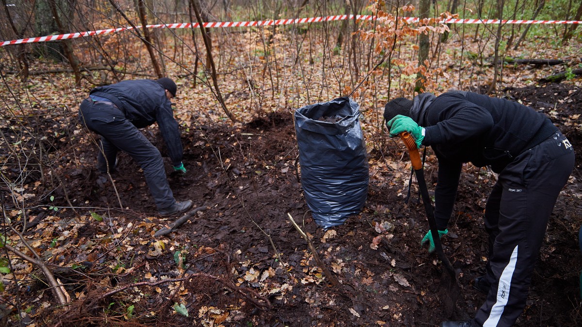 SZTUTOWO BYŁY OBÓZ STUTTHOF PORZĄDKOWANIE WIĘŹNIOWIE (prace badawczo-porządkowe)