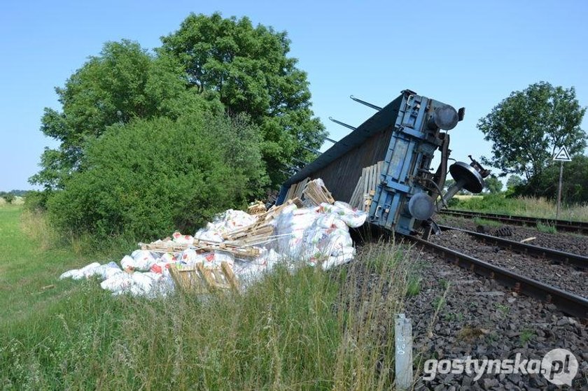 Pociąg wypadł z torów. Wagony leżą w rowie