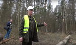 50-latek wycinał drzewa w Puszczy Białowieskiej, zabiła go brzoza