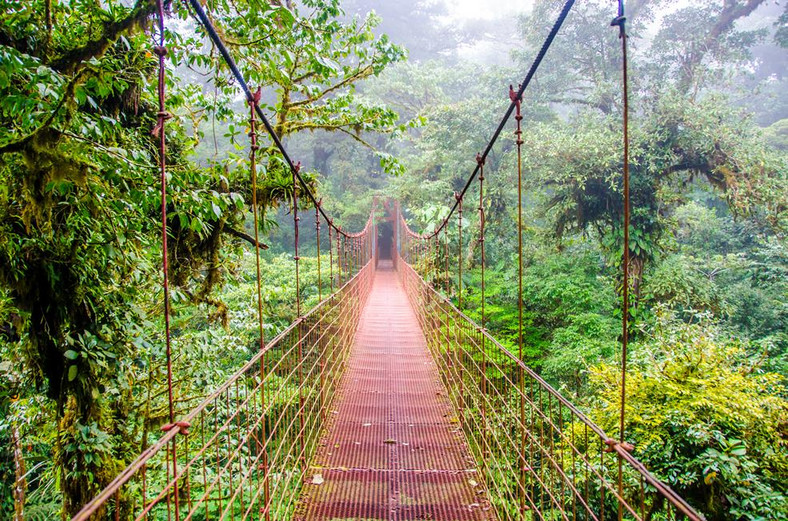 Kostaryka most wiszacy