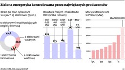 Energetyka odnawialna w rękach elektrowni. Czemu nie w prywatnych?