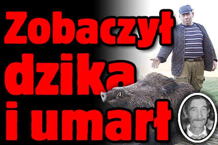 Zobaczył dzika i umarł