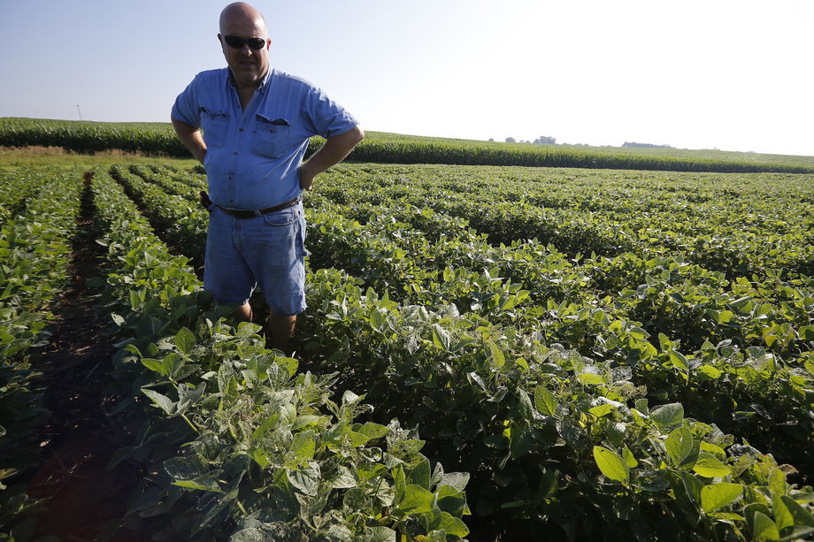 Farmer Jim Schielein inspects a field of soybeans on his farm in Dixon, Illinois.