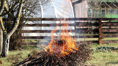 30 tysięcy złotych kary za porządki w ogrodzie? Tego sposobu unikaj jak ognia