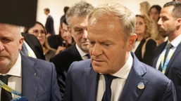 premier tusk do służb: działać twardo! po skandalu z braunem nie ma li
