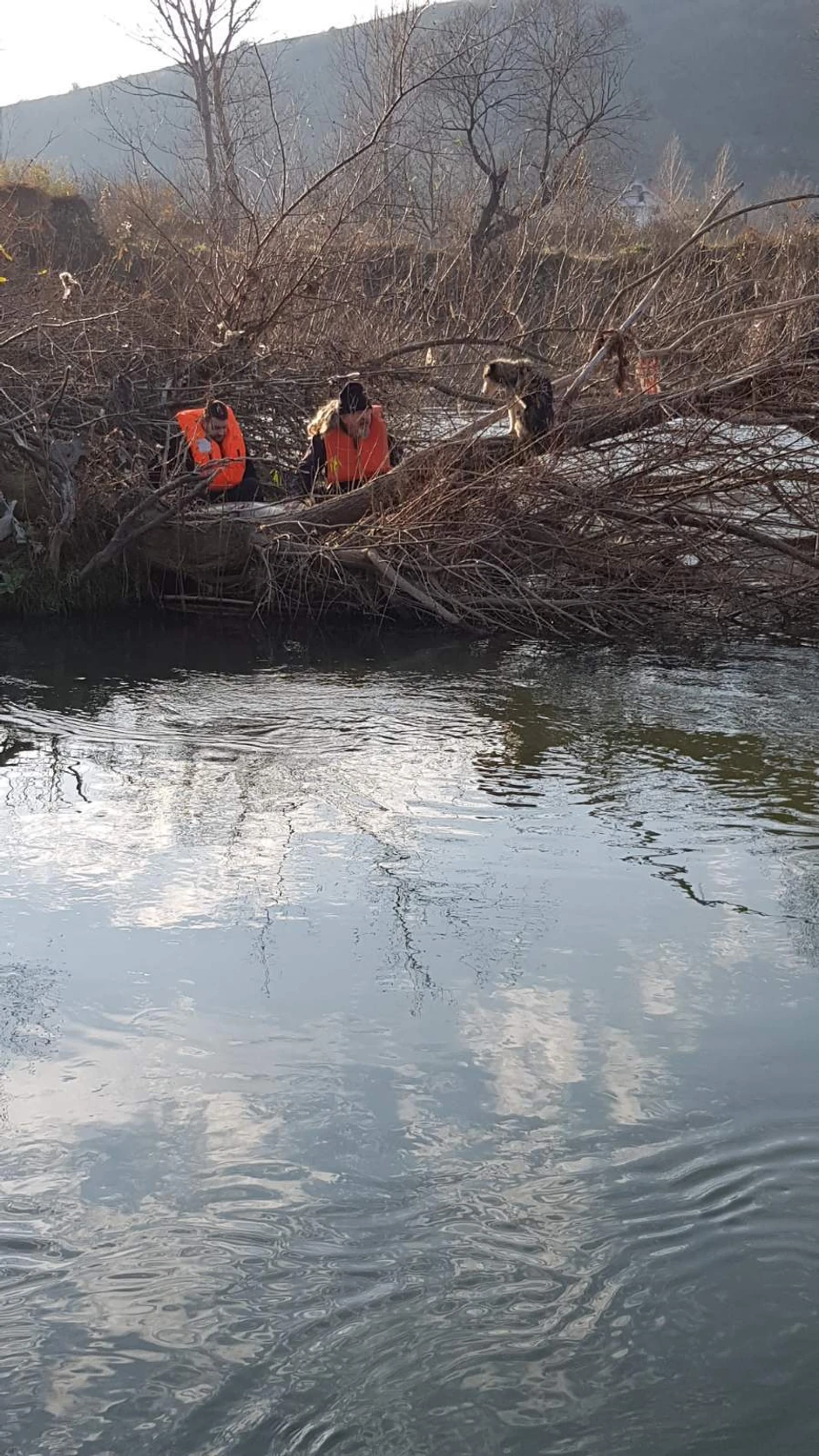Drvo je sa svih strana bilo okruženo vodom, a reka je na tom mestu duboka i dosta brza, kažu ribočuvari