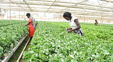 Uganda’s GDP growth hits 6.8% in first half of 2022/23 fiscal year