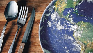 Problem marnowania żywności wymaga kompleksowych regulacji