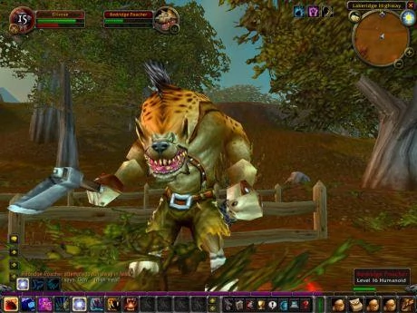 Screen z gry "World of Warcraft"