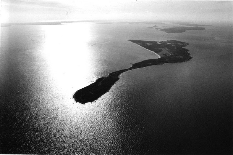 "Potwory" z Plum Island najniebezpieczniejszej wyspy w Nowym Jorku